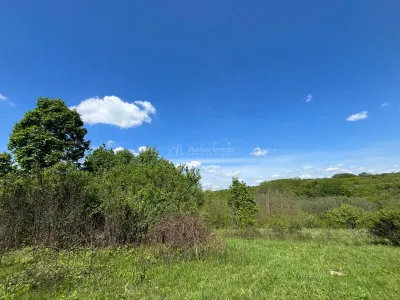 Terrain Lugoj 5.300 m², Dealul Viilor, Vues Impressionnantes - foto 6