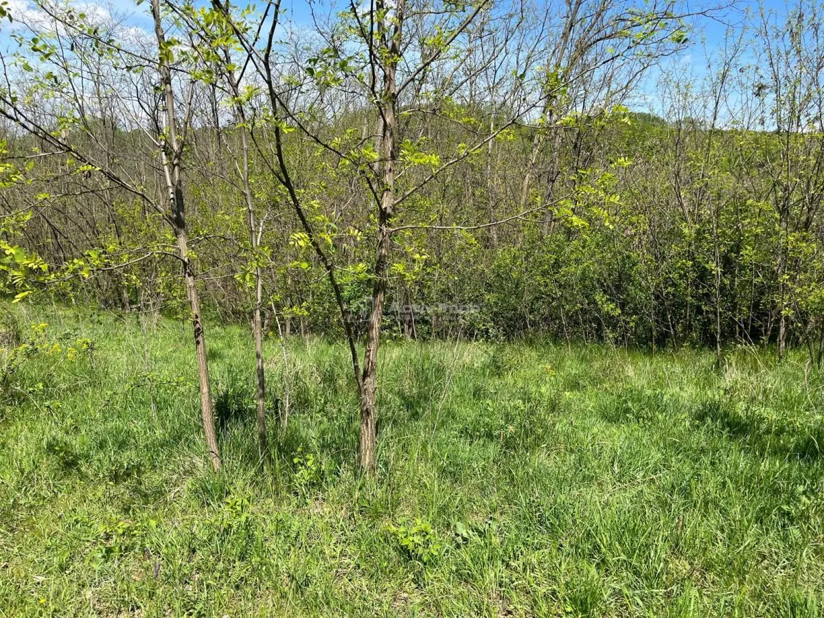 Terrain Lugoj 5.300 m², Dealul Viilor, Vues Impressionnantes - foto 9