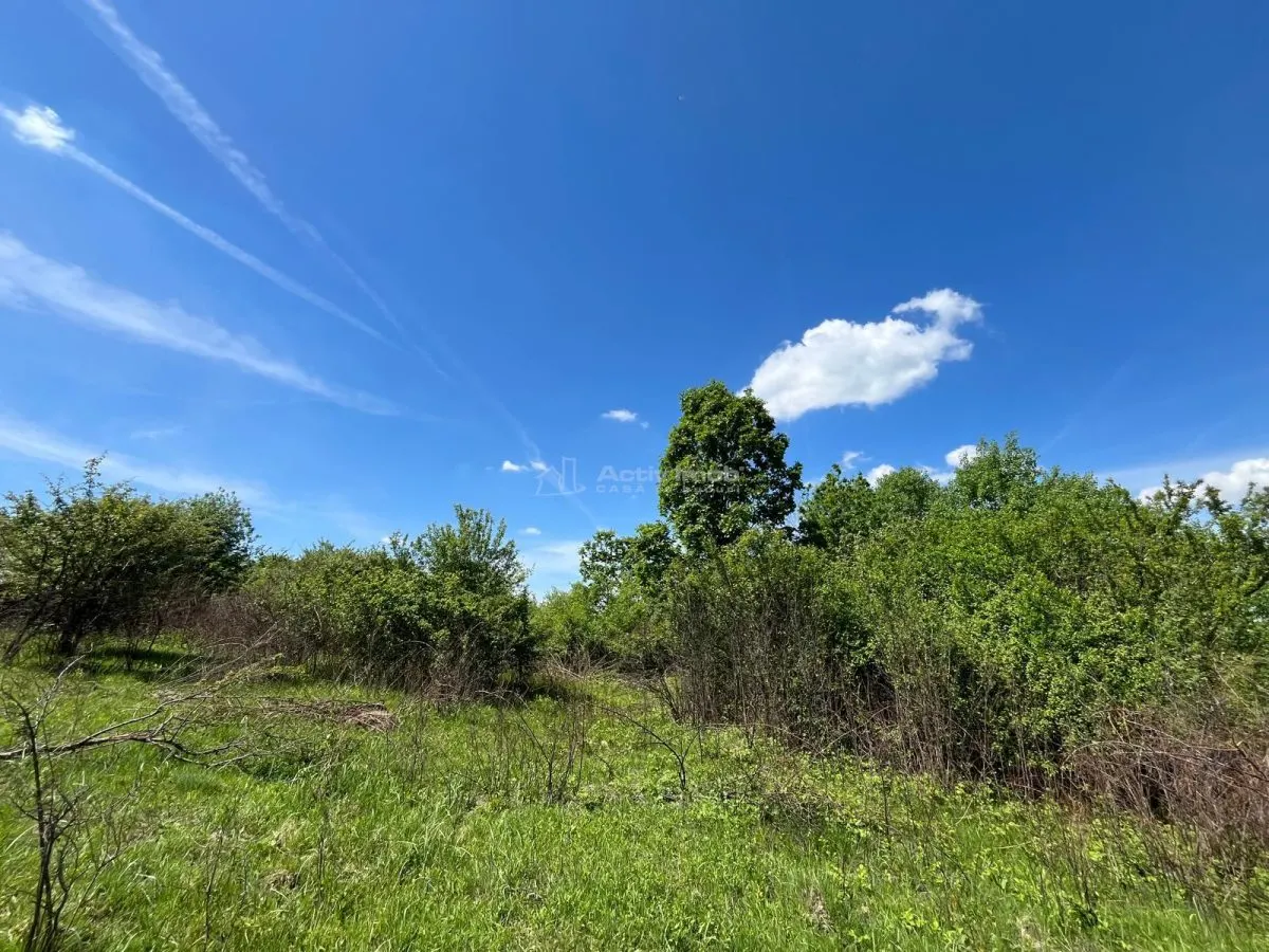 Terrain Lugoj 5.300 m², Dealul Viilor, Vues Impressionnantes - foto 10
