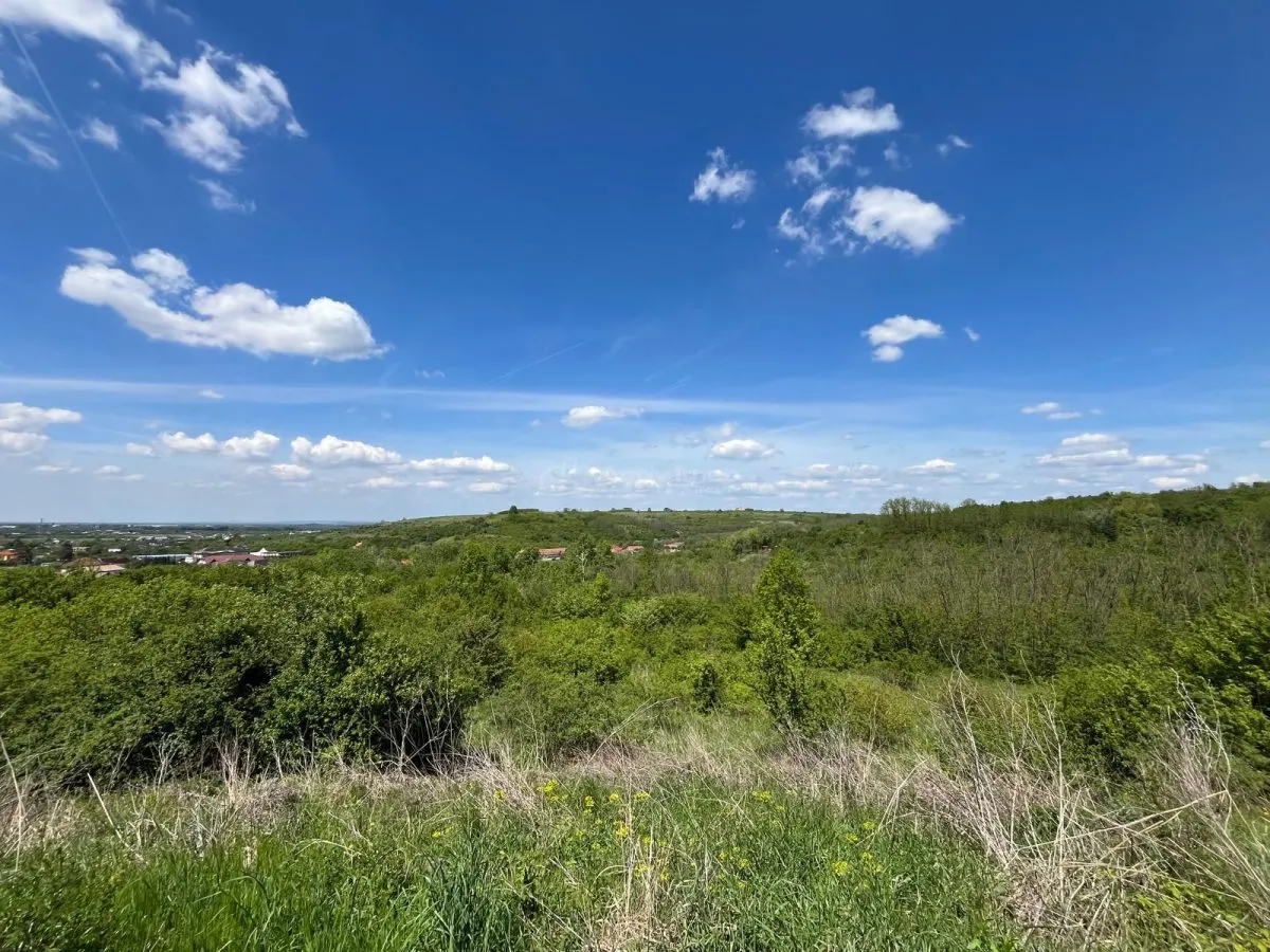 Lugoj: Investissement Exceptionnel – 8.200 m², Façade 200 m, Idéal Aménagement - foto 12