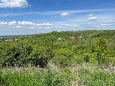 Lugoj: Investissement Exceptionnel – 8.200 m², Façade 200 m, Idéal Aménagement - foto 13