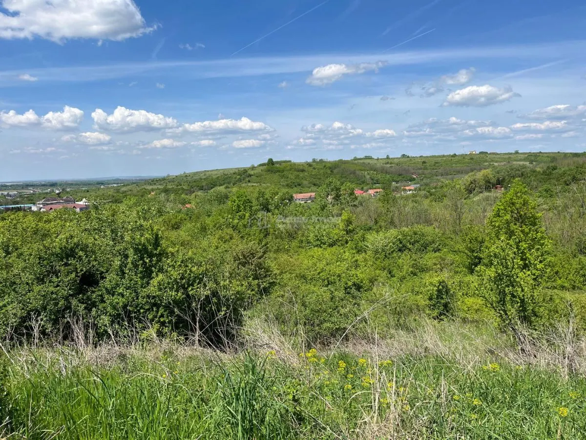 Lugoj: Investissement Exceptionnel – 8.200 m², Façade 200 m, Idéal Aménagement - foto 13