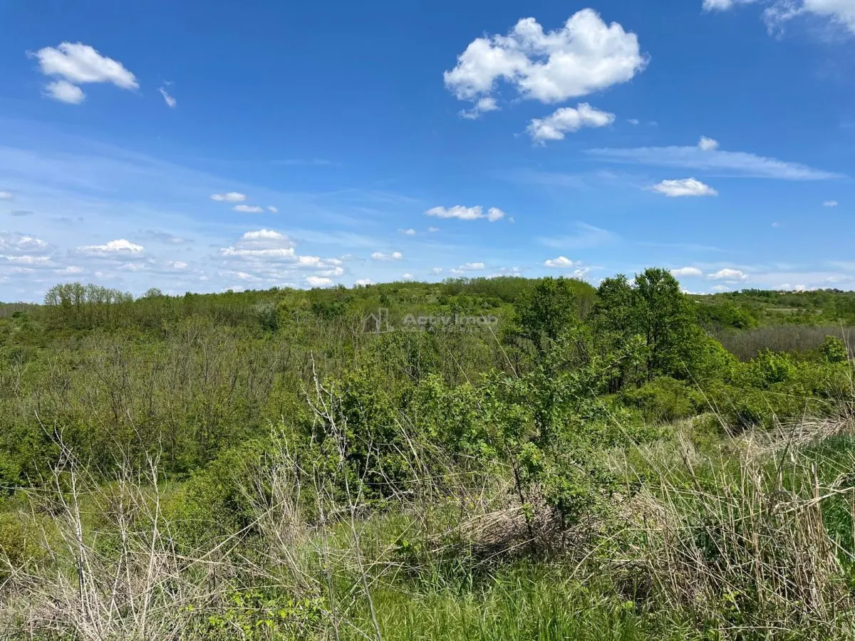 Lugoj: Investissement Exceptionnel – 8.200 m², Façade 200 m, Idéal Aménagement - foto 15