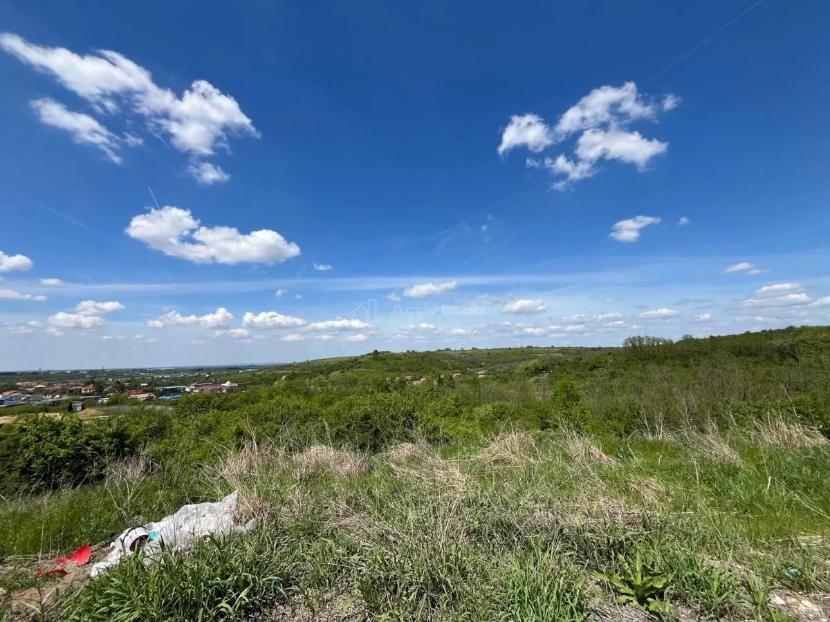 Lugoj: Investissement Exceptionnel – 8.200 m², Façade 200 m, Idéal Aménagement - foto 6