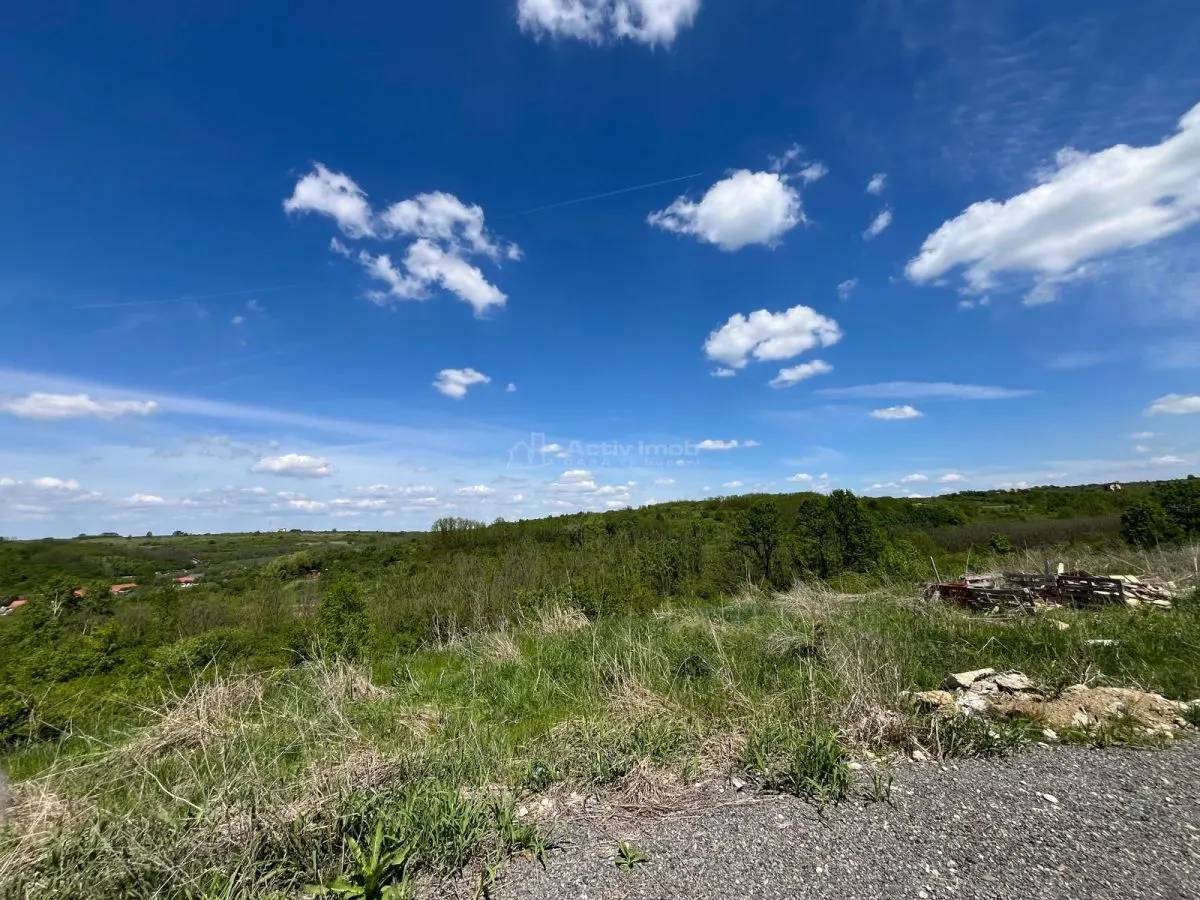 Lugoj: Investissement Exceptionnel – 8.200 m², Façade 200 m, Idéal Aménagement - foto 7