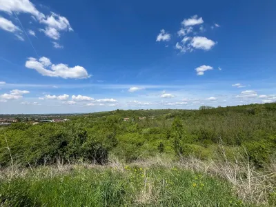 Lugoj: Investissement Exceptionnel – 8.200 m², Façade 200 m, Idéal Aménagement - foto 9