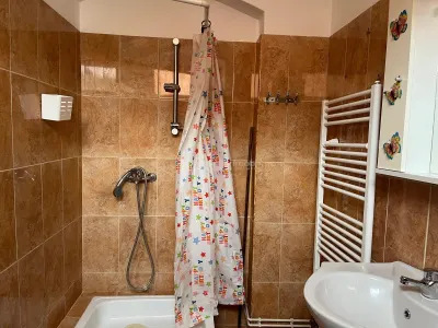 Studio, 35 m², Centre de Lugoj - foto 16