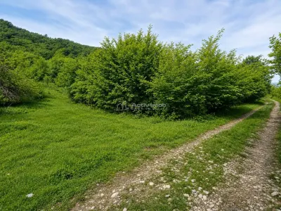 Terrain pour Cabane à la Lisière de Forêt, Tălmaciu - Talmaciu