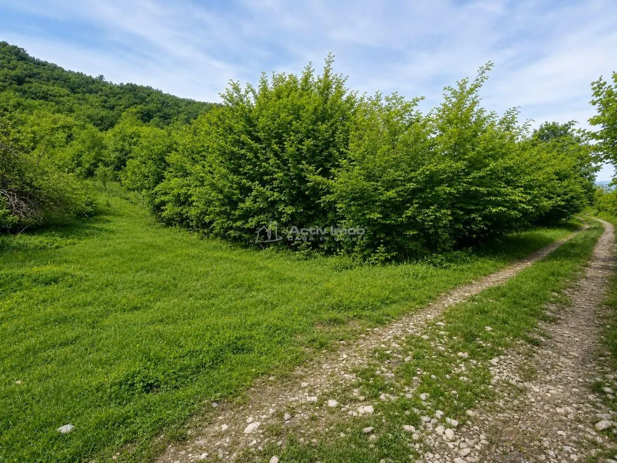 Terrain pour Cabane à la Lisière de Forêt, Tălmaciu - foto 1