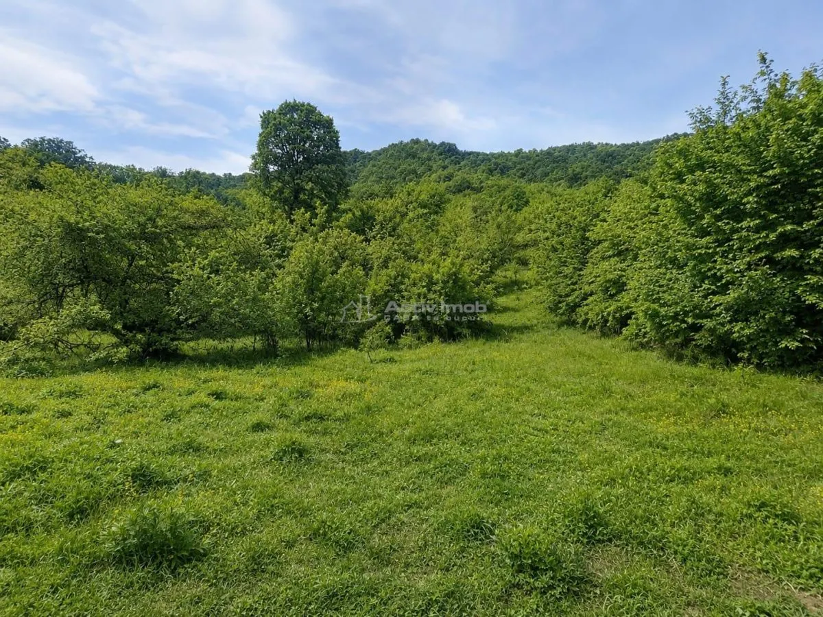 Terrain pour Cabane à la Lisière de Forêt, Tălmaciu - foto 2