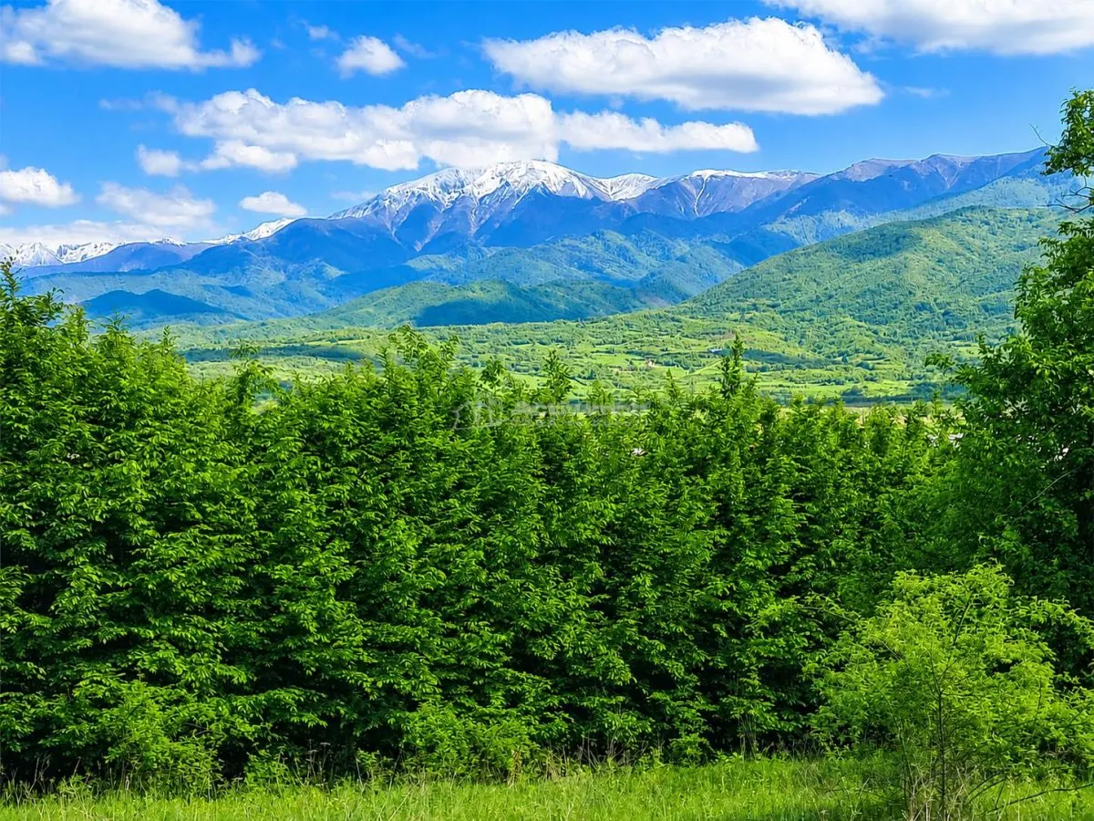 Terrain pour Cabane à la Lisière de Forêt, Tălmaciu - foto 3