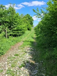 Terrain pour Cabane à la Lisière de Forêt, Tălmaciu - foto 4