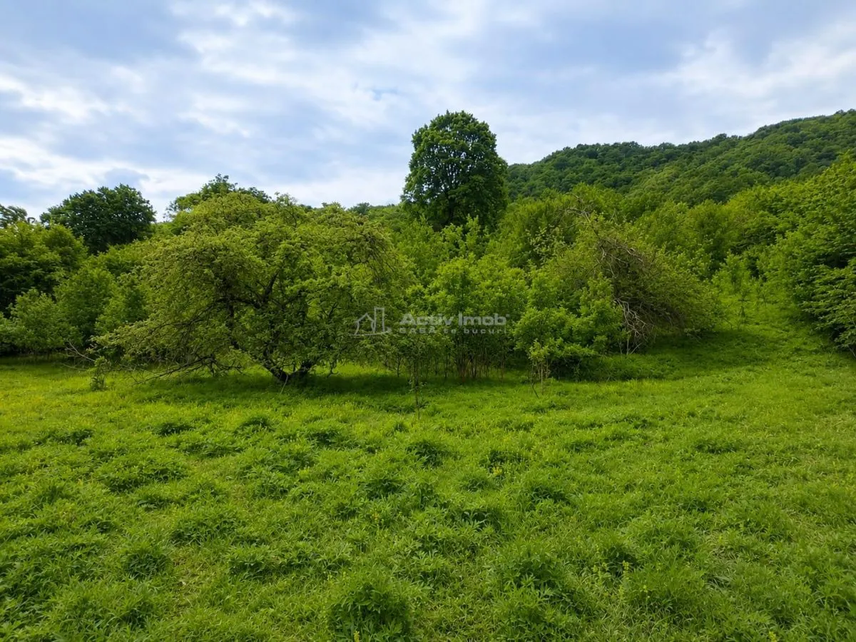 Terrain pour Cabane à la Lisière de Forêt, Tălmaciu - foto 6