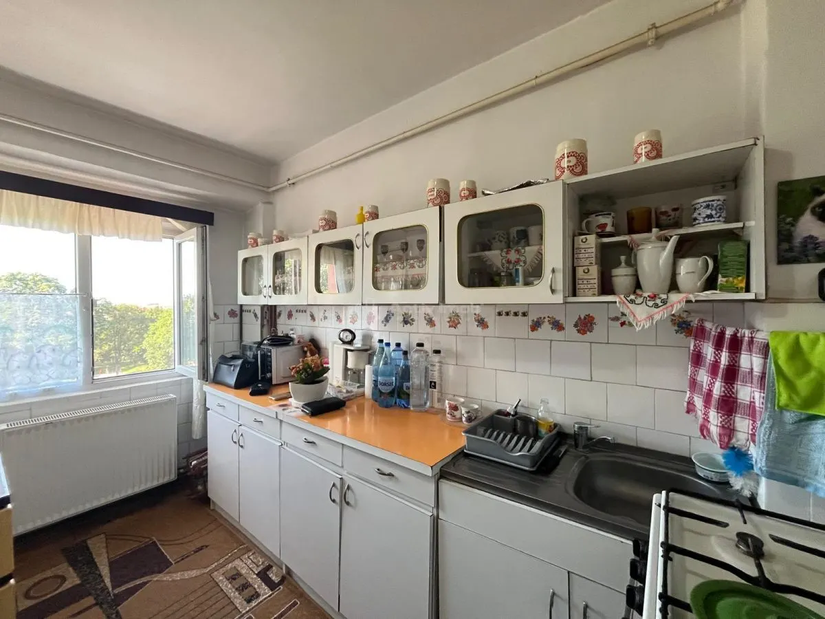 Apartment with 2 bedrooms for sale 53 sqm in Lugoj - foto 19