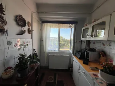 Apartment with 2 bedrooms for sale 53 sqm in Lugoj - foto 20