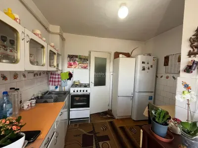 Apartment with 2 bedrooms for sale 53 sqm in Lugoj - foto 21