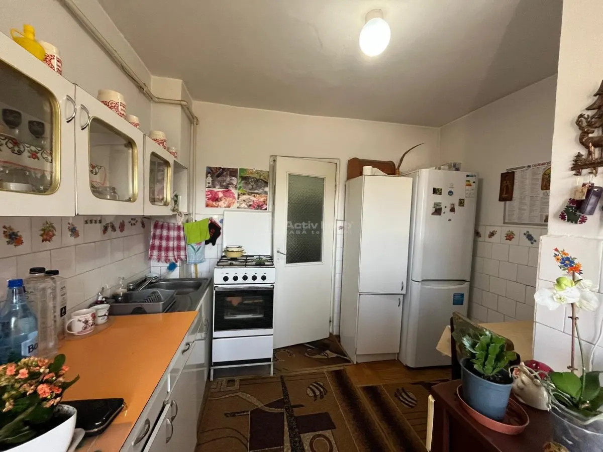 Apartment with 2 bedrooms for sale 53 sqm in Lugoj - foto 21