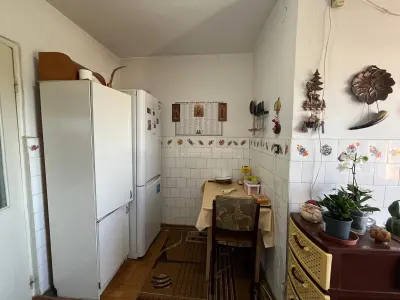 Apartment with 2 bedrooms for sale 53 sqm in Lugoj - foto 22