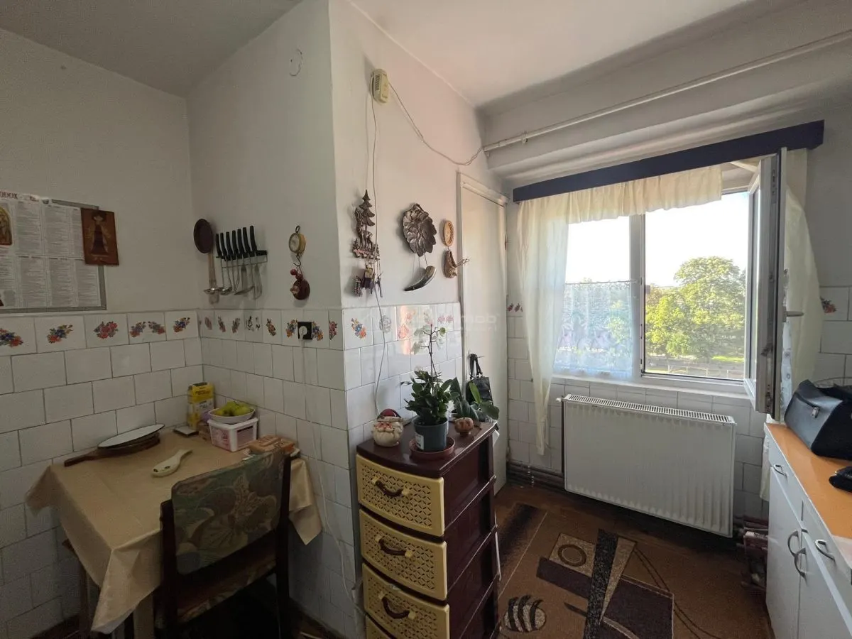 Apartment with 2 bedrooms for sale 53 sqm in Lugoj - foto 23