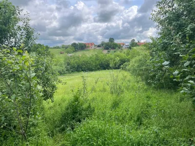 Honorici, Maison avec Terrain, 230 m² Construits, 1.700 m² Parcelle - foto 15