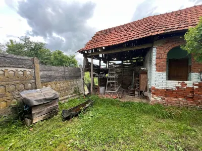 Honorici, Maison avec Terrain, 230 m² Construits, 1.700 m² Parcelle - foto 6