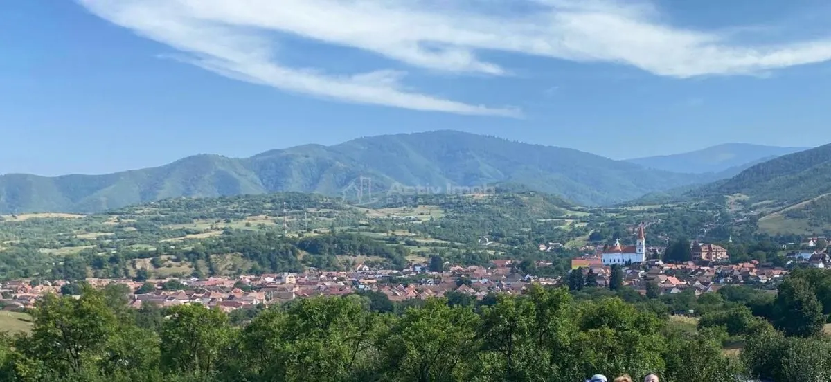 Teren de vanzare in Rasinari - foto 5