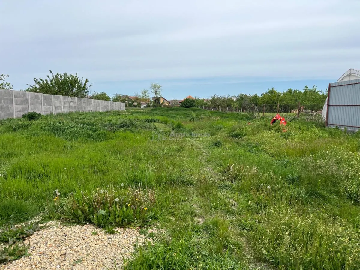 Remetea Mare, Terrain Constructible 1.500 m² - foto 3