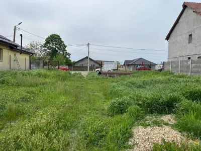 Remetea Mare, Terrain Constructible 1.500 m² - foto 4