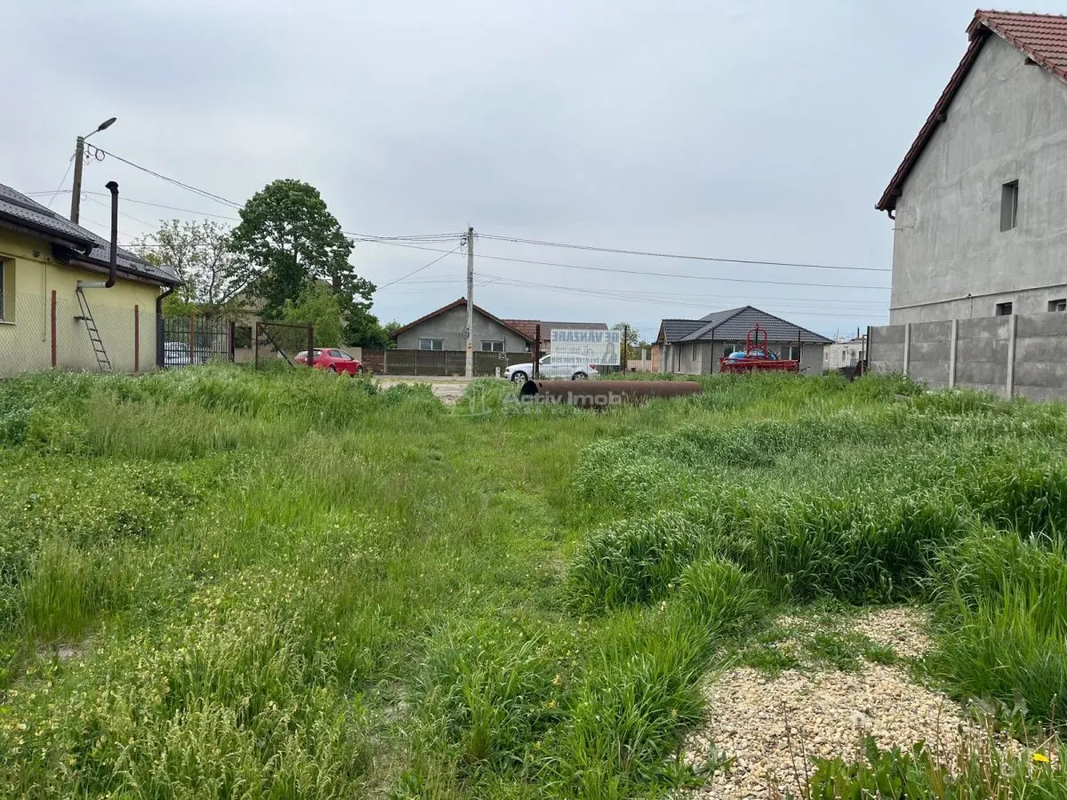 Remetea Mare, Terrain Constructible 1.500 m² - foto 4