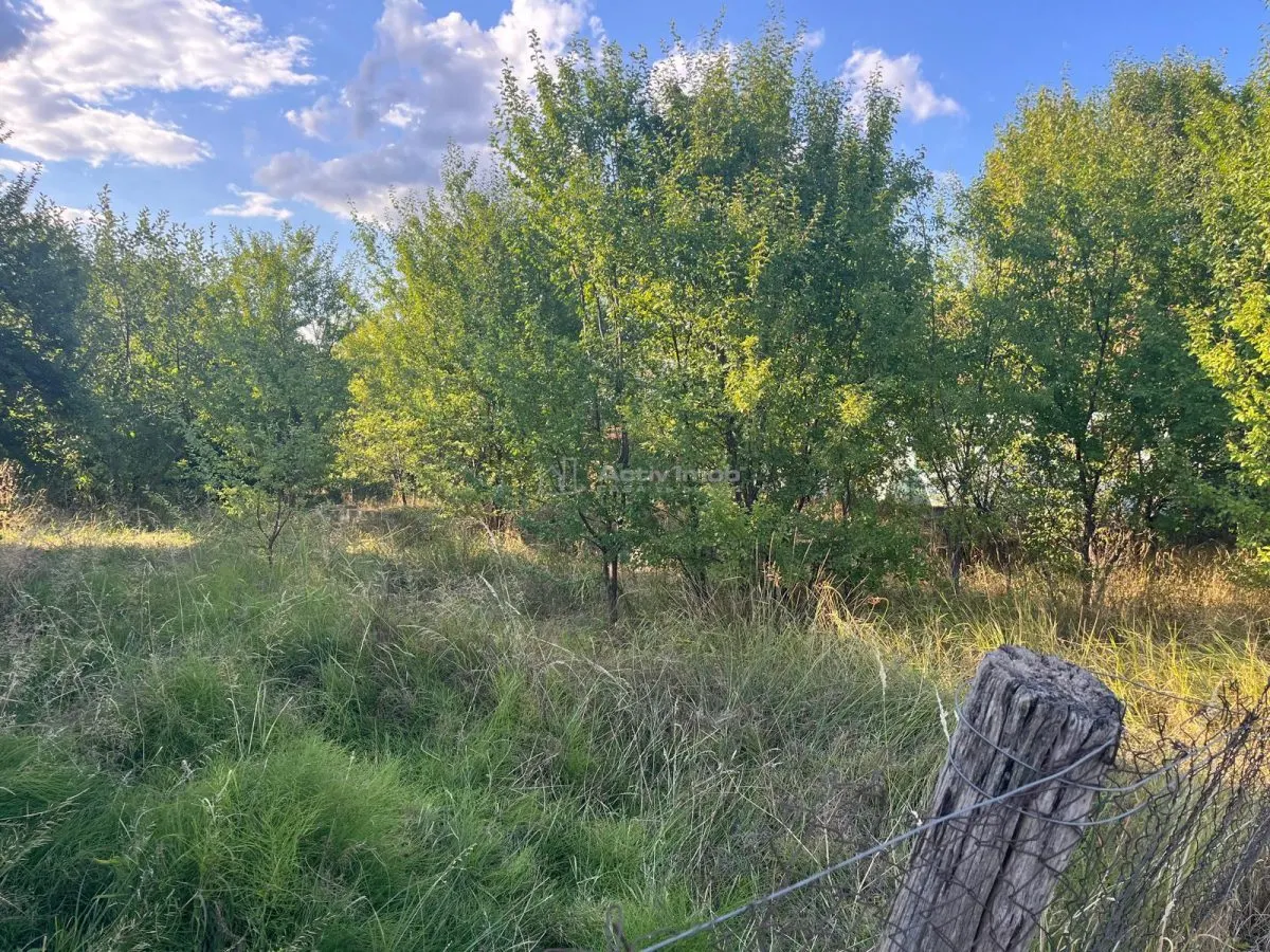 Darova, Terrain Constructible 1.060 m² – Rue Principale - foto 4