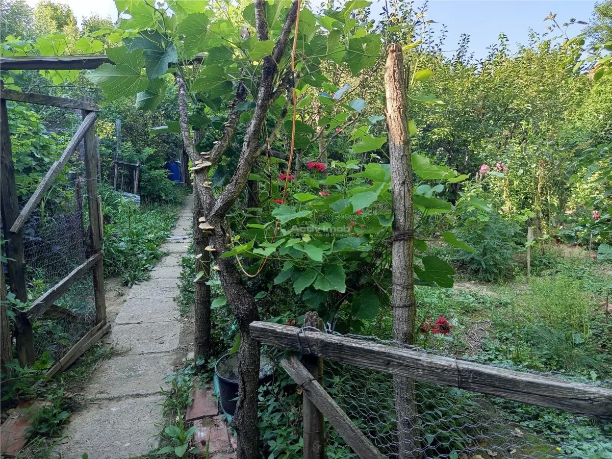 伊利迪亚8房住宅，744平方米土地，灵活支付条款 - foto 23