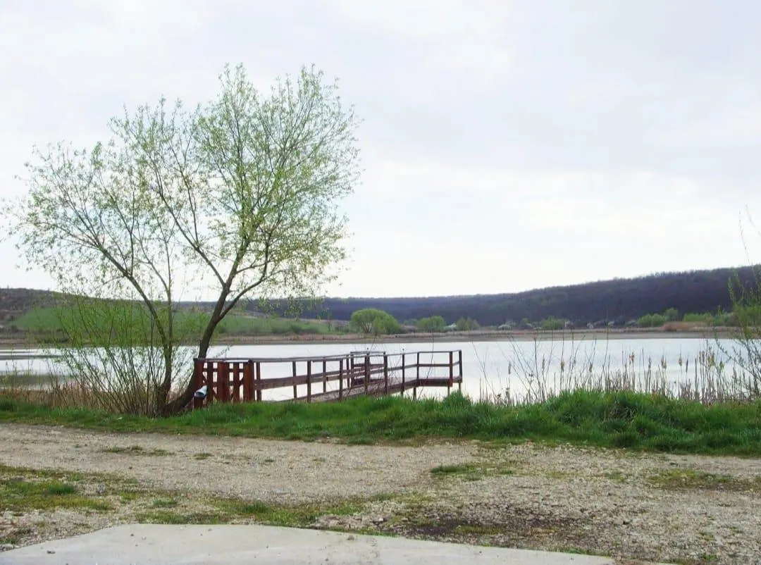 Lakeside House on Lake Paleu – 510 sqm Plot with Exceptional Views - foto 19