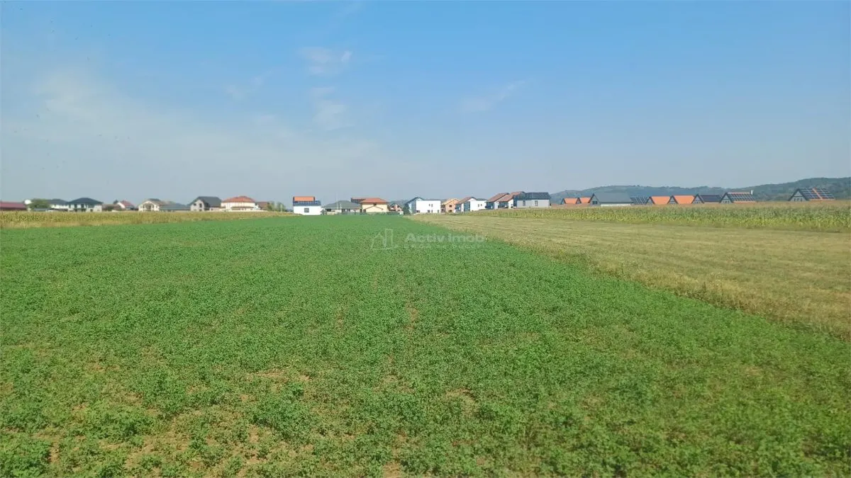 Terrain constructible 2.500 m² à vendre, Tălmaciu - foto 1