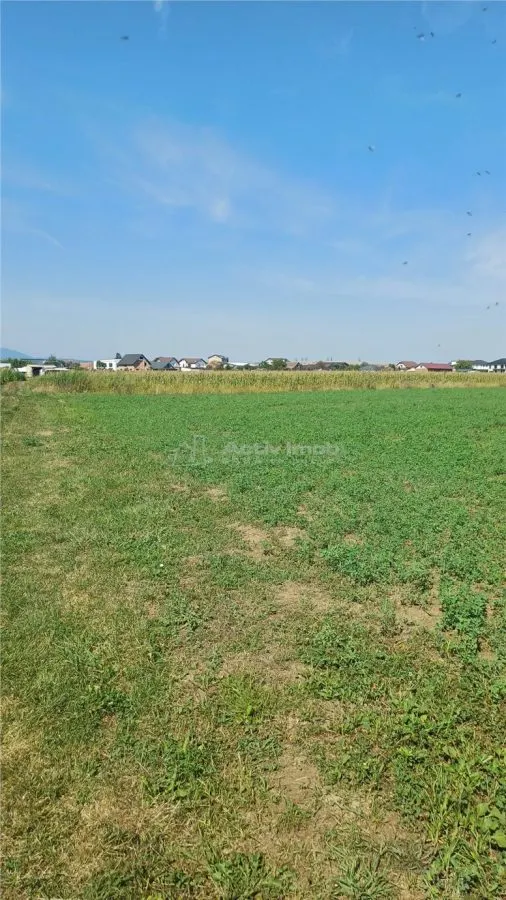 Terrain constructible 2.500 m² à vendre, Tălmaciu - foto 2