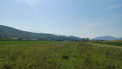 Terrain constructible 2.500 m² à vendre, Tălmaciu - foto 3