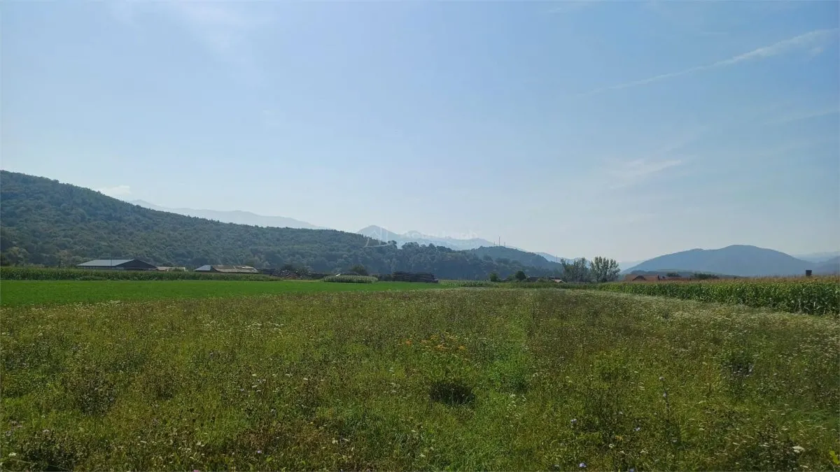 Terrain constructible 2.500 m² à vendre, Tălmaciu - foto 3