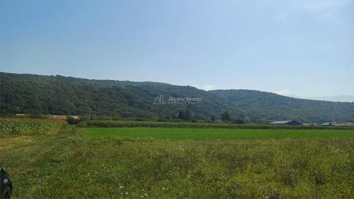 Terrain constructible 2.500 m² à vendre, Tălmaciu - foto 4