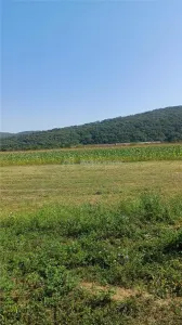 Terrain constructible 2.500 m² à vendre, Tălmaciu - foto 5