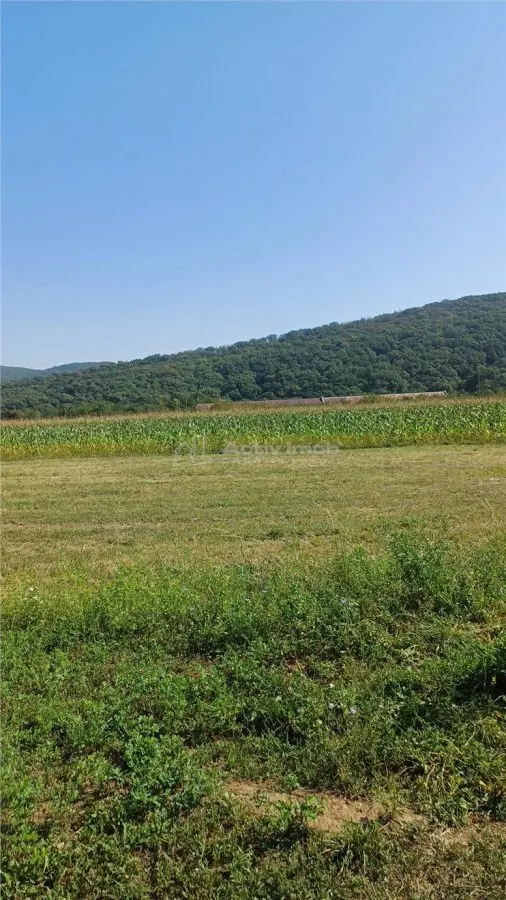 Terrain constructible 2.500 m² à vendre, Tălmaciu - foto 5