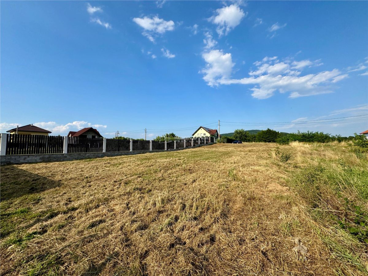 Terrain Constructible 1.000 m² – Tălmaciu, Str. Fagului - foto 6