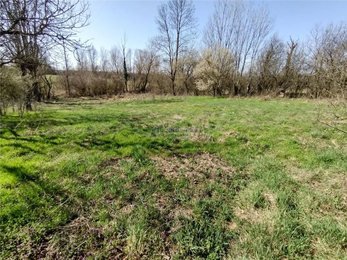 Rachitova, Maison 8 Pièces, 3800m² de Terrain, Négociable - foto 6