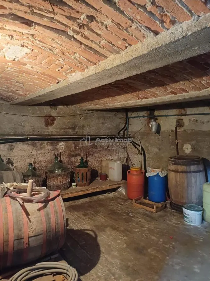 Maison de Caractère à Vendre à Talmaciu - foto 19