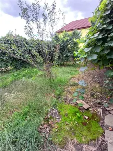Maison de Caractère à Vendre à Talmaciu - foto 20