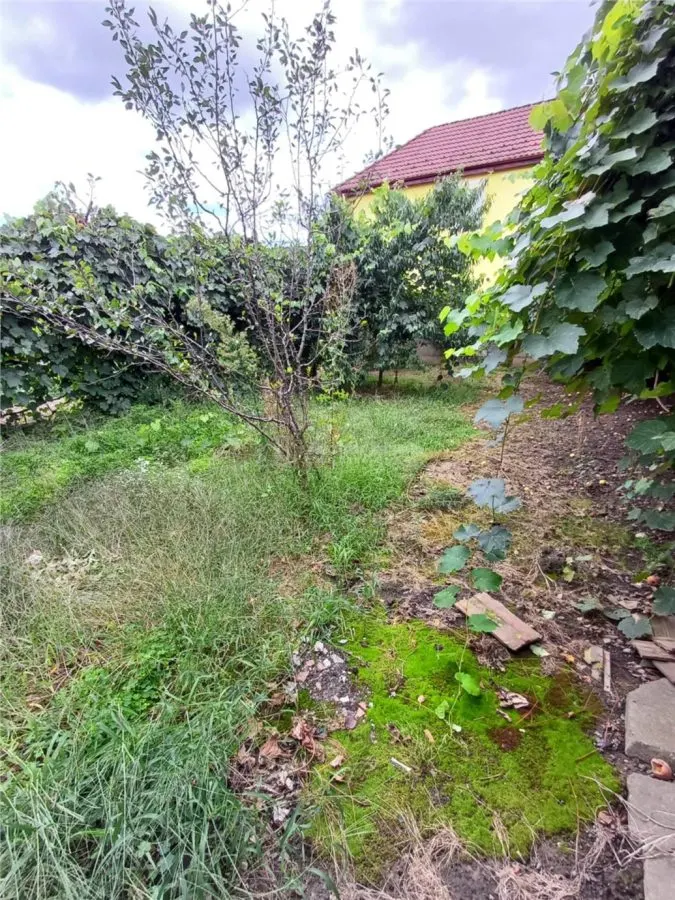 Maison de Caractère à Vendre à Talmaciu - foto 20
