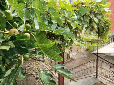 Oravita, Casa Llave en Mano, 7 Estancias, Posibilidad de Buhardilla, Precio Negociable - foto 11