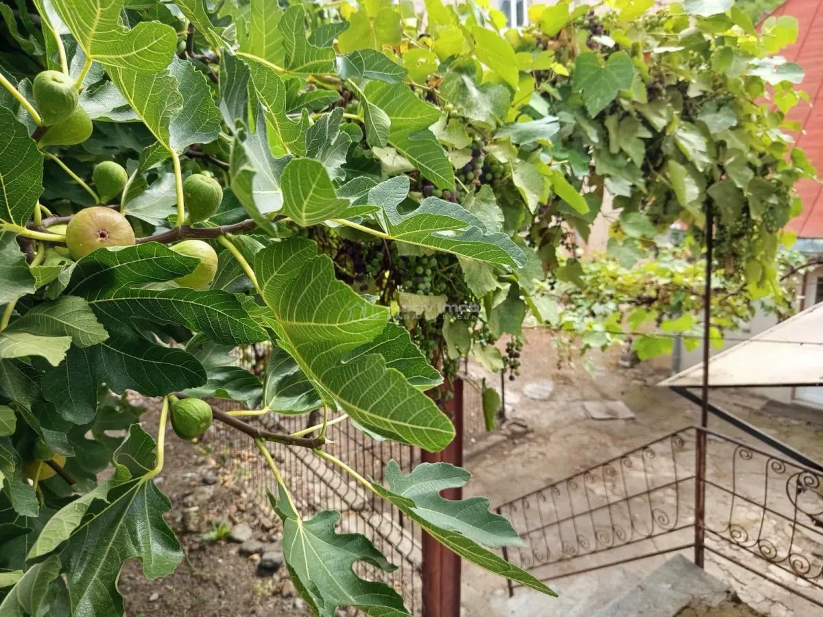 Oravita, Casa Llave en Mano, 7 Estancias, Posibilidad de Buhardilla, Precio Negociable - foto 11