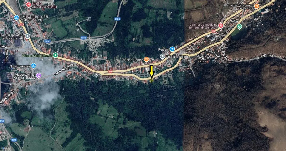 Oravita, Terrain Intraurbain, Régulier, En Bord de Route, Prix Négociable - foto 8