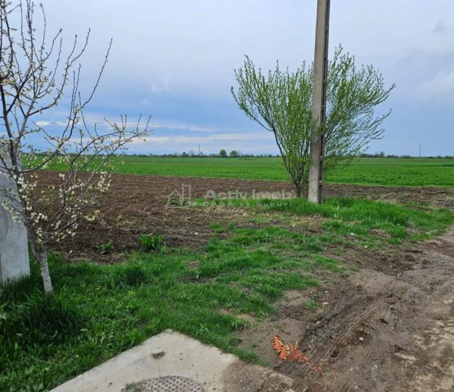 普洛耶什特西部公园附近适合居住区开发的土地 - foto 2