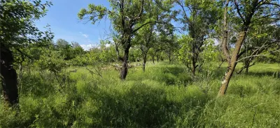 Terrain 3 000 m² Zone Urbanisée Razvad Redeventei - foto 3