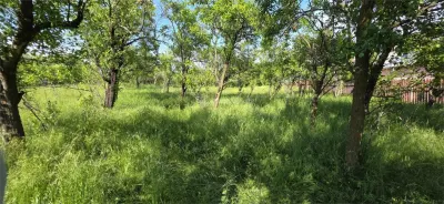 Terrain 3 000 m² Zone Urbanisée Razvad Redeventei - foto 4